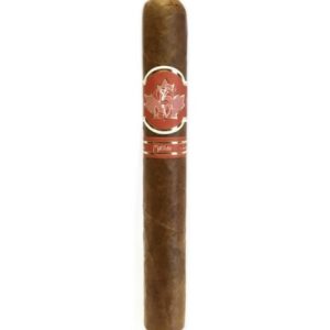 Matilde Canada Exclusivo Toro Bravo